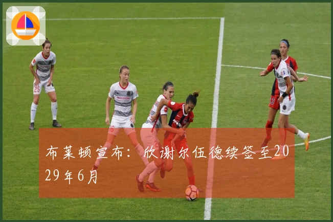 布莱顿宣布：欣谢尔伍德续签至2029年6月