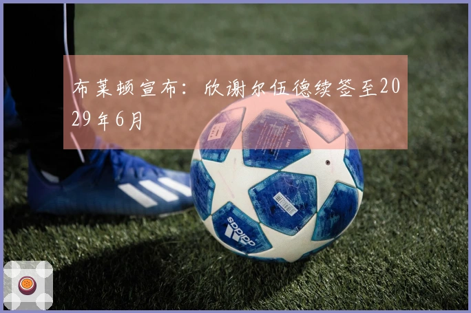 布莱顿宣布：欣谢尔伍德续签至2029年6月