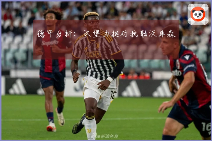 德甲分析：汉堡力挺对抗勒沃库森