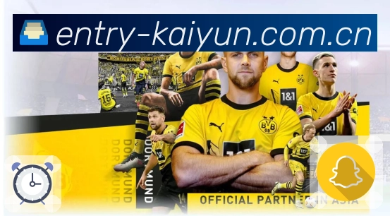 开云APP 高清赛事图